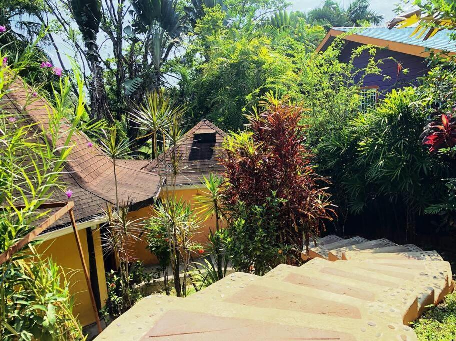 Villa Del Idaan 博卡斯德尔托罗 外观 照片