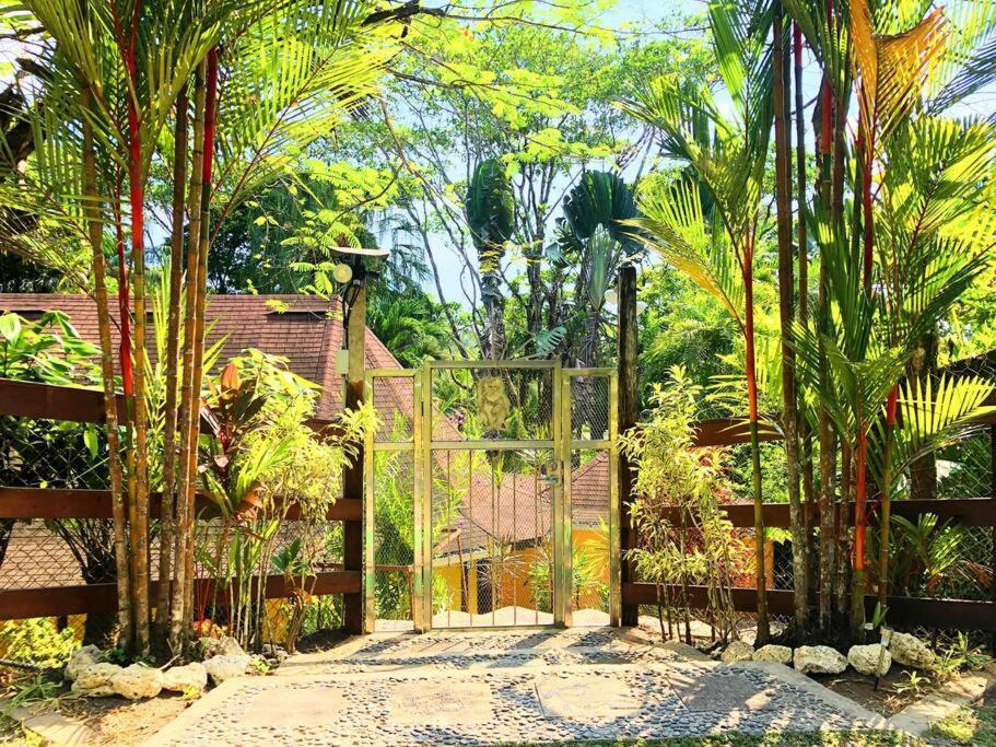 Villa Del Idaan 博卡斯德尔托罗 外观 照片